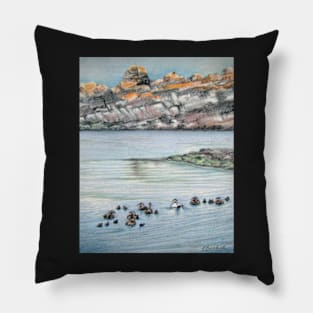 Eiders in Hare Island, St-Laurent Pillow