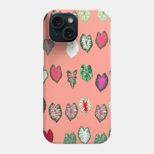 Different Varieties of Caladium Plant Leaf Phone Case