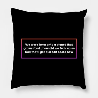 End Capitalism - I Don't Want A Credit Score Pillow