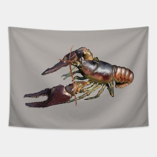 crayfish Tapestry