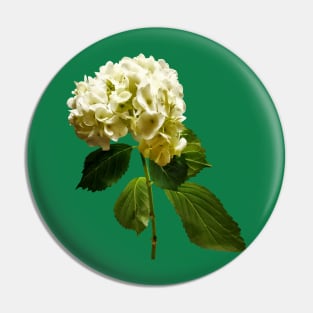 Hydrangeas - Single White Hydrangea Pin