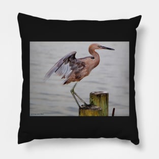 Egret Egress Pillow