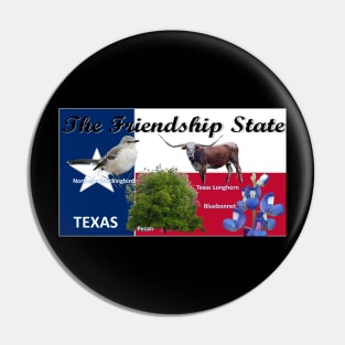 Texas State Flag with Texas Symbols for your Tee Shirt Pin