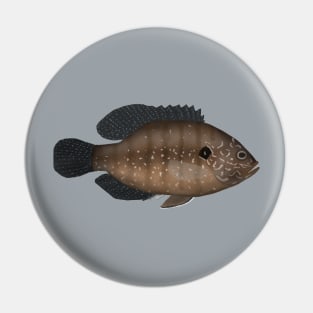 Banded Sunfish Pin