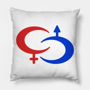 Male and female Pillow