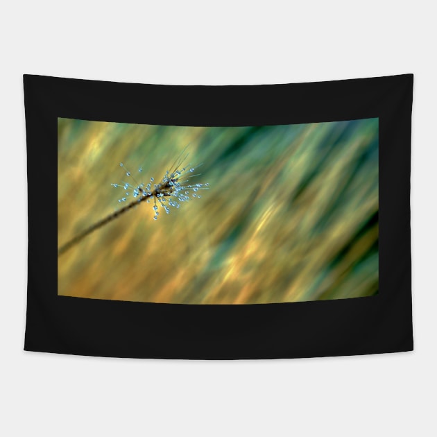 Droplet Covered Grass Tapestry by 1Redbublppasswo