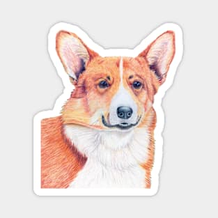 Welsh corgi pembroke Magnet