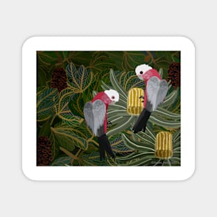 Galahs with Golden Banksias and Seed Pods Magnet