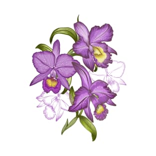 Hand drawn graphic art of orchid flowers. T-Shirt