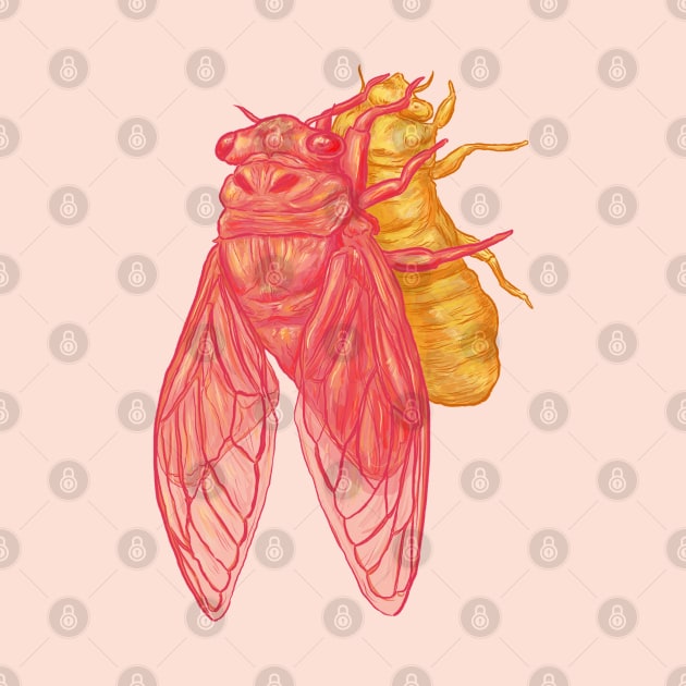 Pink Cicada by Jewelia
