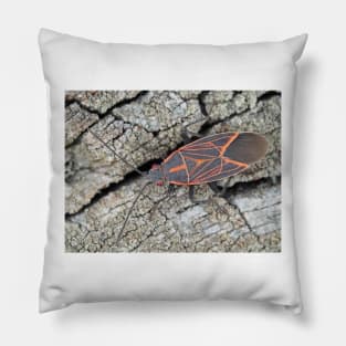 Western boxelder bug Pillow