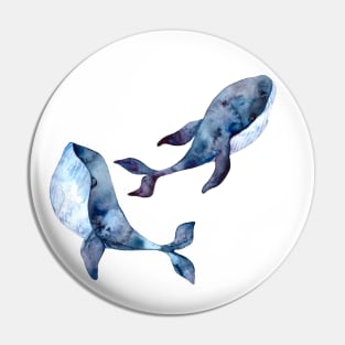 beautiful blue whales swimming in the ocean Pin