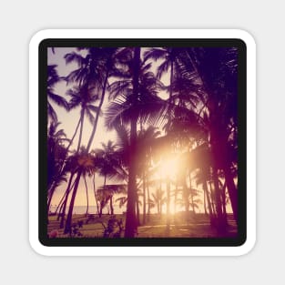 sunset at the beach under the palm trees Magnet