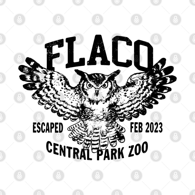 FLACO New York Owl 1 by Buck Tee Original by Buck Tee