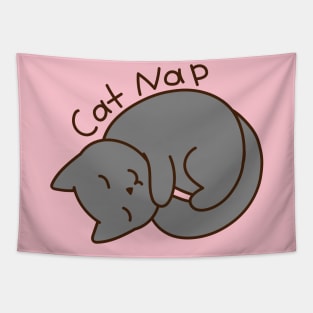 Cat Nap Tapestry