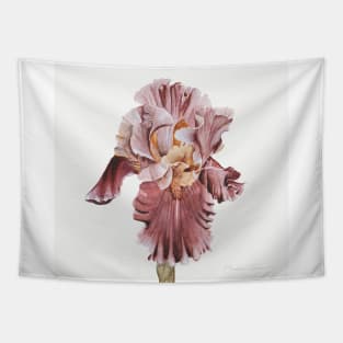 Pink Iris Tapestry