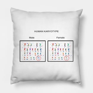 Human karyotype Pillow