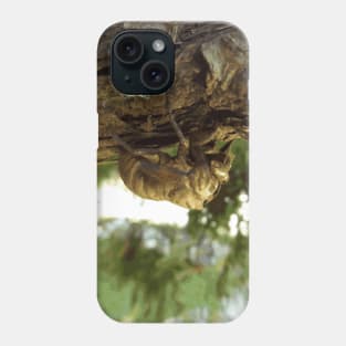 ⁣Cicada shell. It was in a hurry. Phone Case