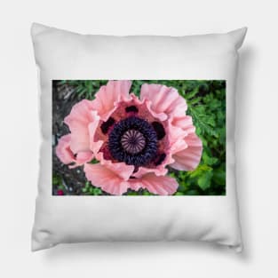 Poppy 1 Pillow