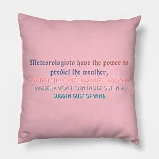 Meteorologists Pillow