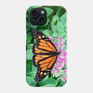 Monarch Butterfly Solo Phone Case