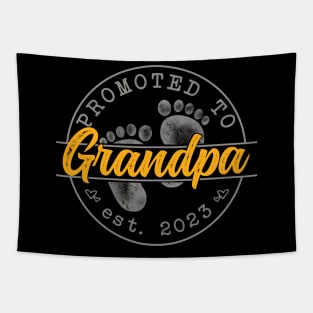 Promoted to Grandpa - Mothers Day 2023 Tapestry