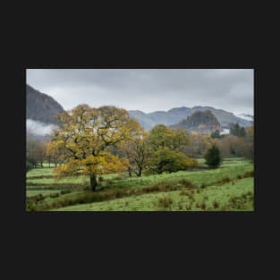 Autumn in Borrowdale T-Shirt