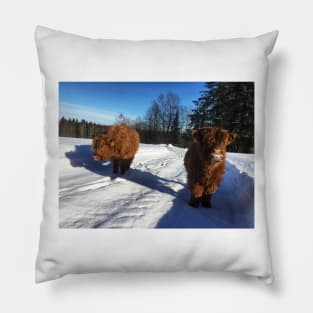 Scottish Highland Cattle Calves 1695 Pillow