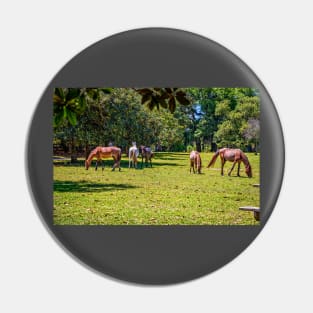 Wild Horses at Cumberland Island National Seashore Pin