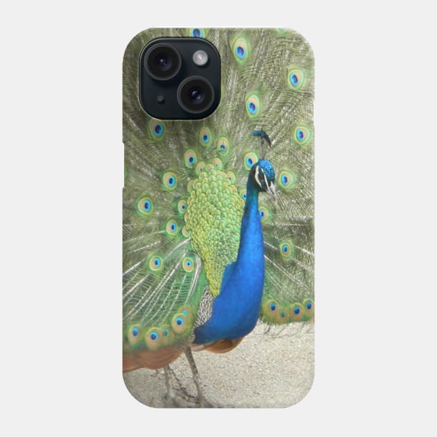 Peacock Phone Case by JFawxeyes