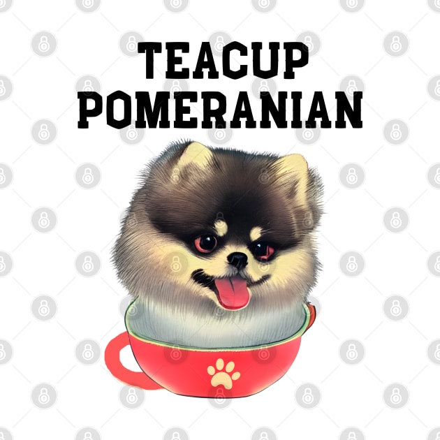 Adorable and Cute Teacup Pomeranian Puppy Fluffy Pomeranian Dog Owner by Mochabonk