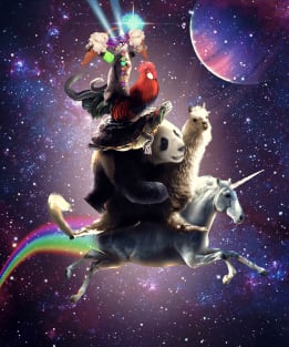 Cat Riding Chicken Turtle Panda Llama Unicorn Magnet