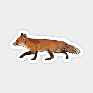 Foxy Magnet