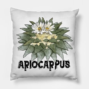 ARIOCARPUS SP. BY AGACACTUS Pillow