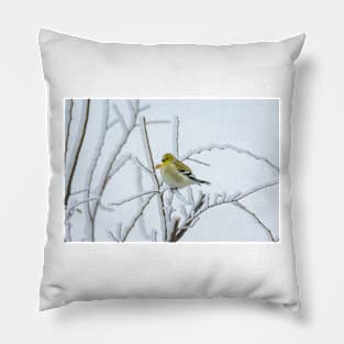 American Goldfinch on Snow Covered Branches by Debra Martz Pillow