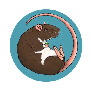 Berkshire Pet Rat Illustration T-Shirt