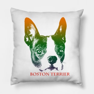 The boston terrier head is Violet, Green, Orange Pillow