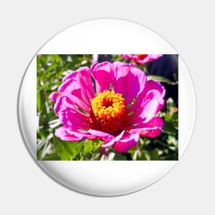 Zinnia Study 3 Pin