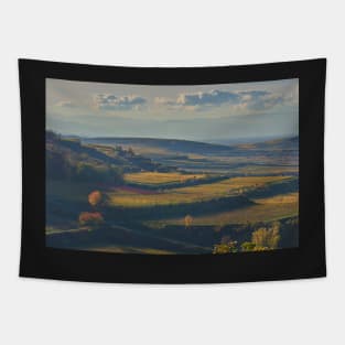 View across the Kaiserstuhl in Autumn Tapestry
