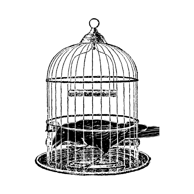 Caged Raven by The Hermit Magic Magazine