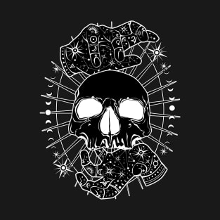 Secret of the Onyx Skull T-Shirt