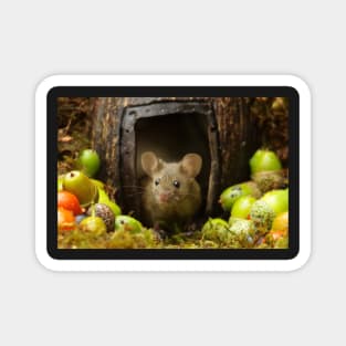 Wild  cute garden mouse Magnet