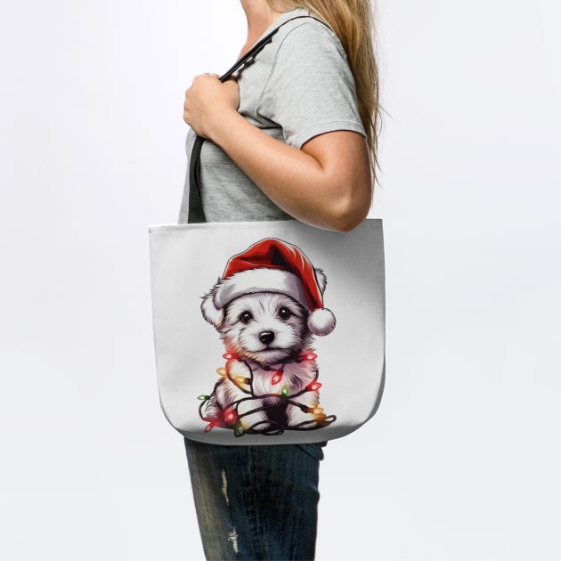 Adorable Dog Christmas Lights Santa Hat by Frank Ring