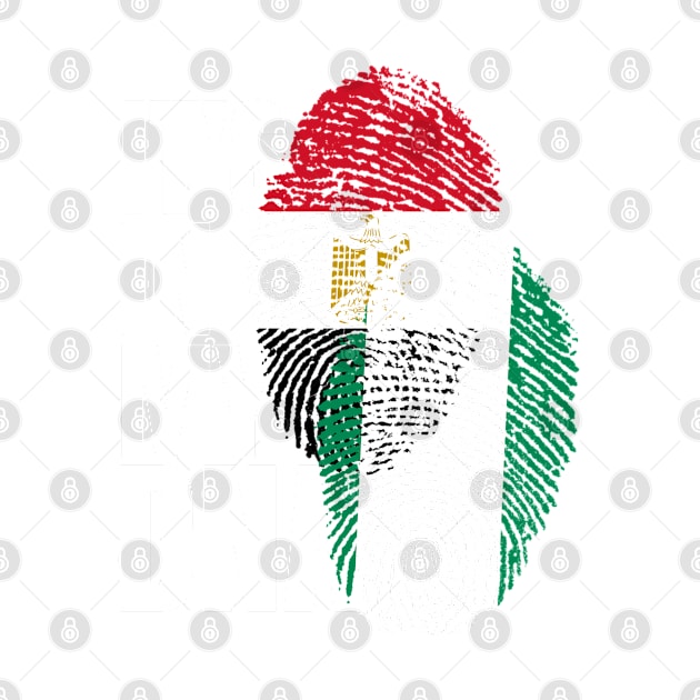 Nigerian And Egyptian Mix Heritage DNA Flag by Just Rep It!!