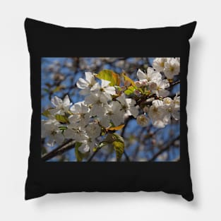 Spring is Here Pillow