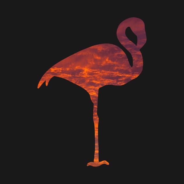 Sunset flamingo by Zimart