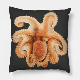 Vintage Octopus Salutii by Giacomo Merculiano Pillow