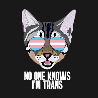 NO ONE KNOWS I'M TRANS - Cute Cat Sunglasses Trans Pride Flag T-Shirt