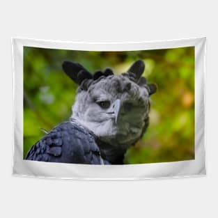 Harpy Eagle Tapestry