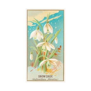 Snowdrop (Galanthus Nivalis) T-Shirt